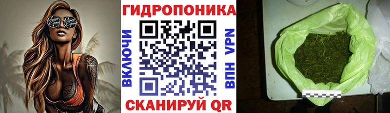 где найти   Кукмор  это официальный сайт  Марихуана планчик 